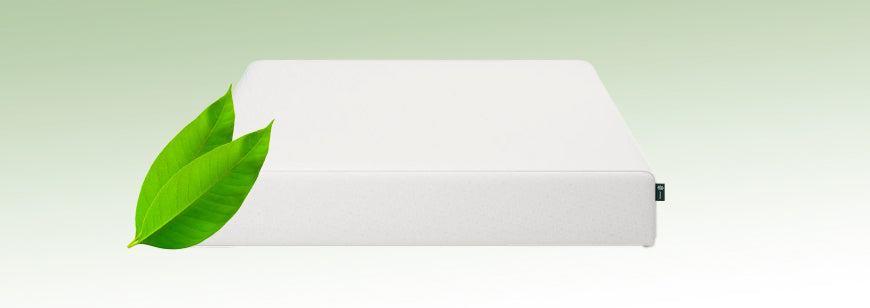 Un Santuario de Pureza y Bienestar: El Secreto del Té Verde en tu Colchón Zinus