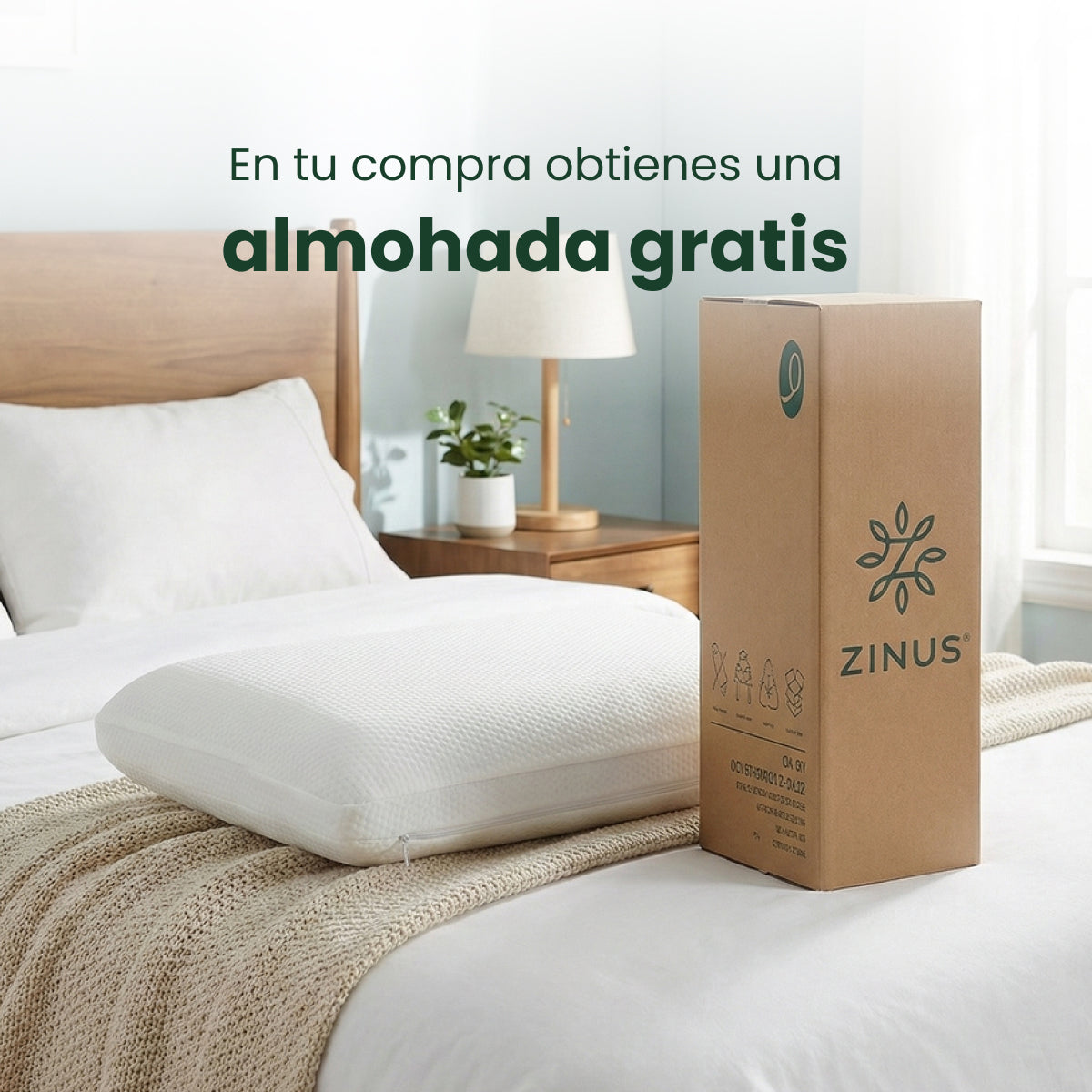 Zinus |  Cama Completa Base Shen + Colchón Comfort